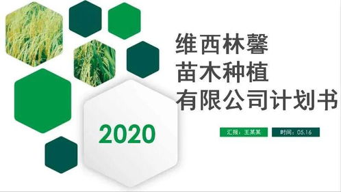 團州委攜北京智庫與農投會，點燃農業創業“云引擎”——農業產品領域線上路演暨培訓側記